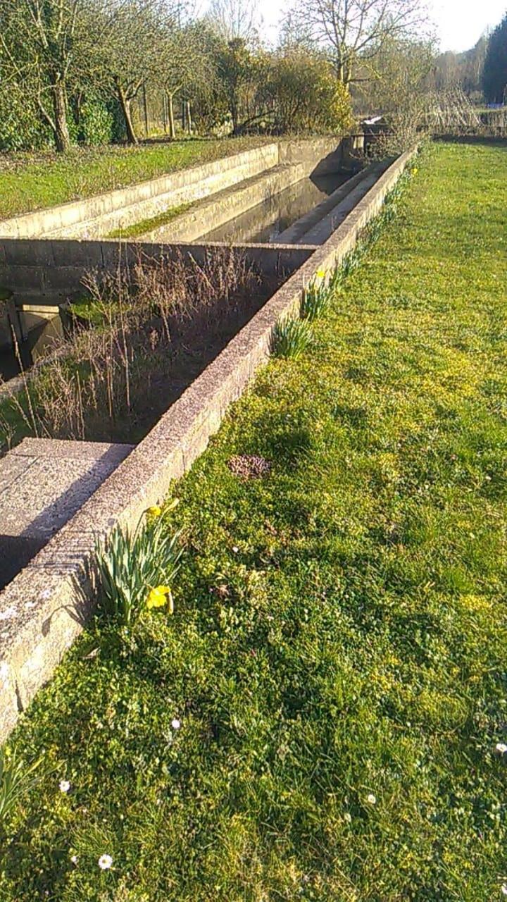 Gite Du Pont De Tancelle Préaux Extérieur photo